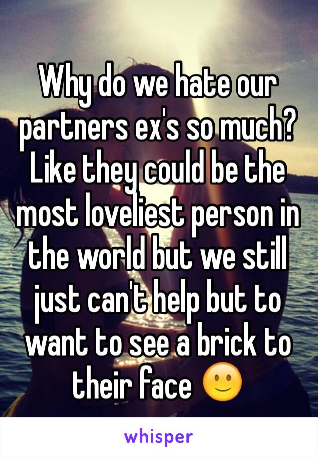 Why do we hate our partners ex's so much? Like they could be the most loveliest person in the world but we still just can't help but to want to see a brick to their face 🙂