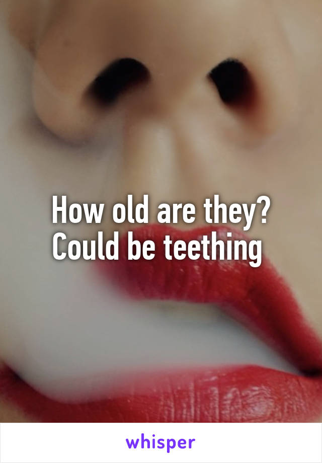 How old are they? Could be teething 