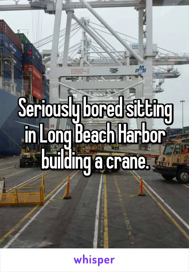 Seriously bored sitting in Long Beach Harbor building a crane.