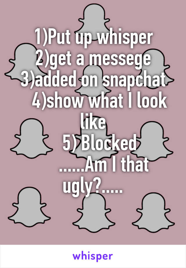 1)Put up whisper
2)get a messege
3)added on snapchat
   4)show what I look like
    5) Blocked 
     ......Am I that ugly?.....

