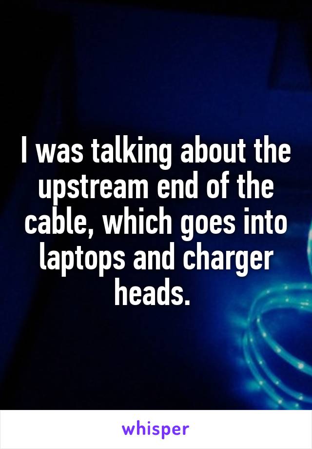 I was talking about the upstream end of the cable, which goes into laptops and charger heads. 