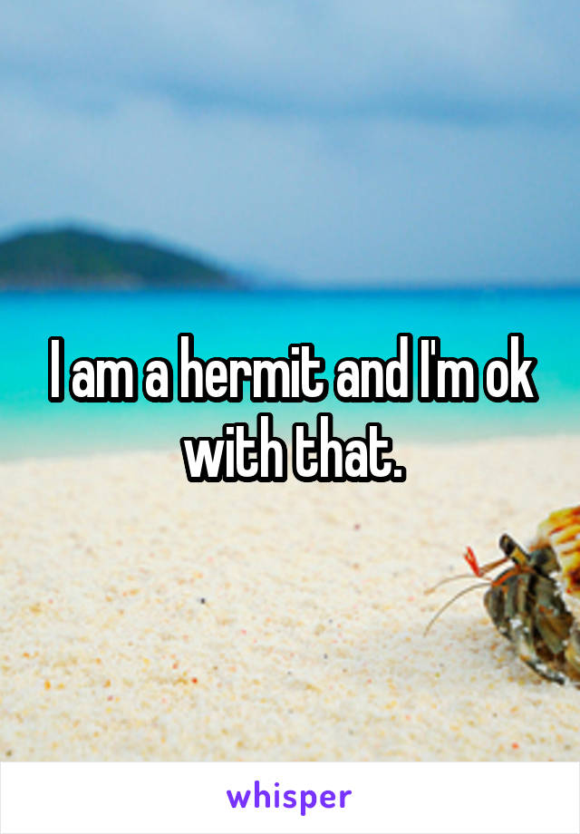 I am a hermit and I'm ok with that.