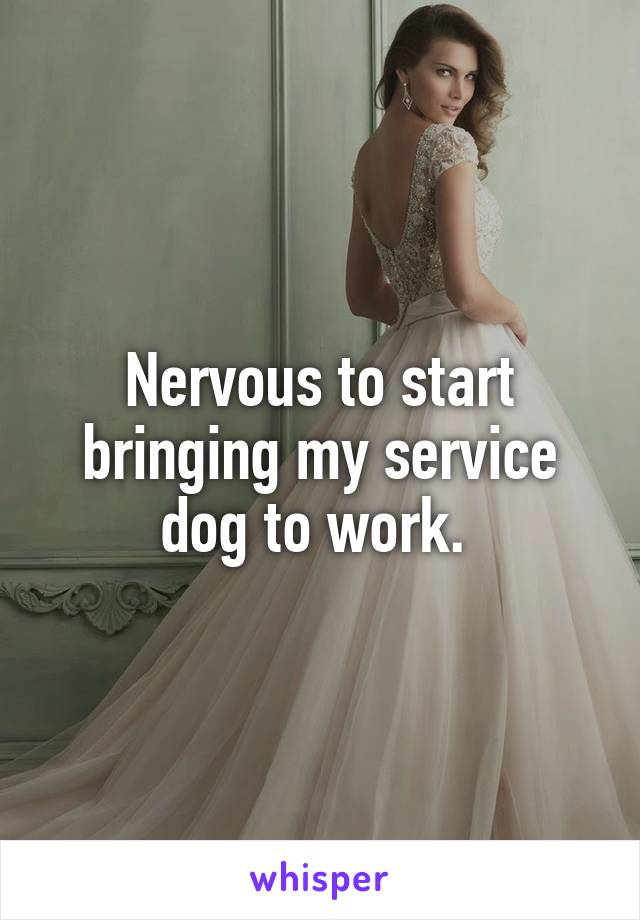 Nervous to start bringing my service dog to work. 