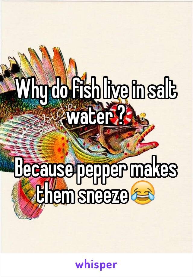 Why do fish live in salt water ?

Because pepper makes them sneeze😂