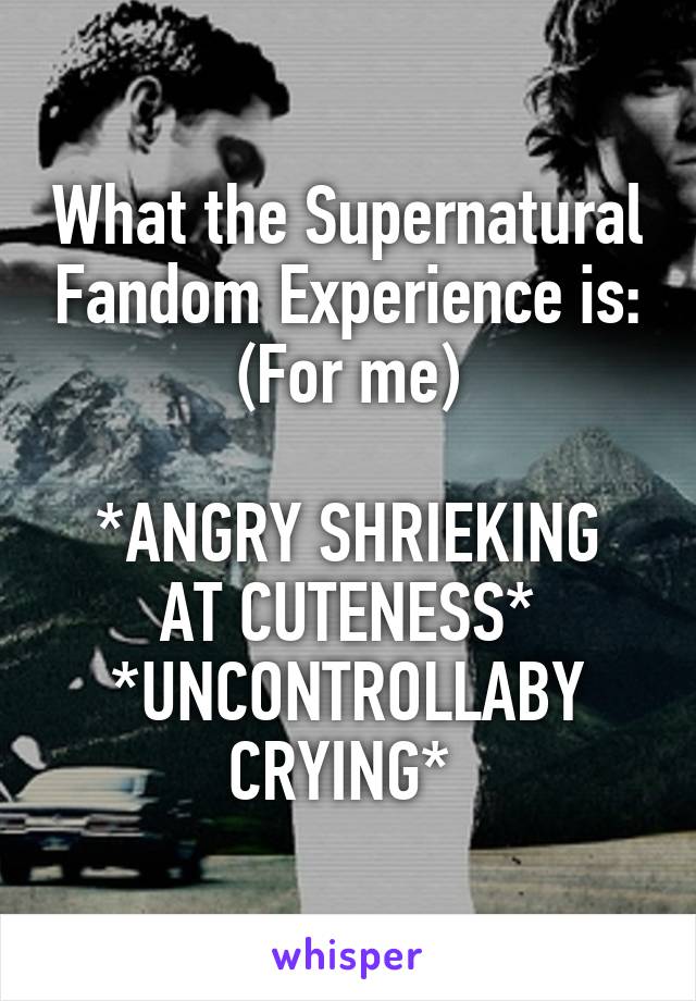 What the Supernatural Fandom Experience is:
(For me)

*ANGRY SHRIEKING AT CUTENESS*
*UNCONTROLLABY CRYING* 