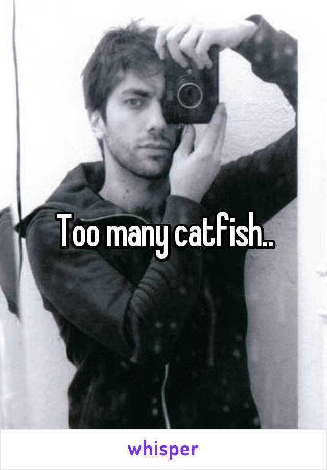 Too many catfish..