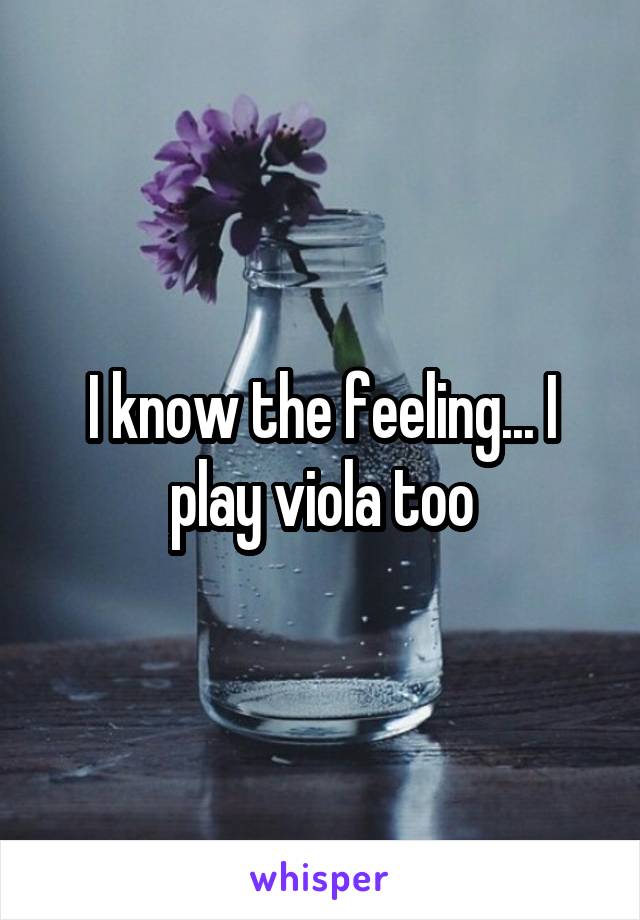 I know the feeling... I play viola too