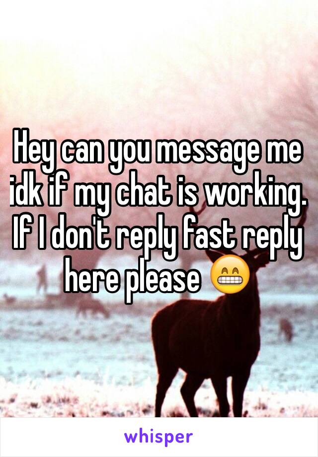 Hey can you message me idk if my chat is working. If I don't reply fast reply here please 😁