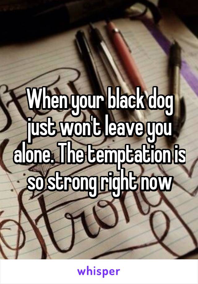 When your black dog just won't leave you alone. The temptation is so strong right now