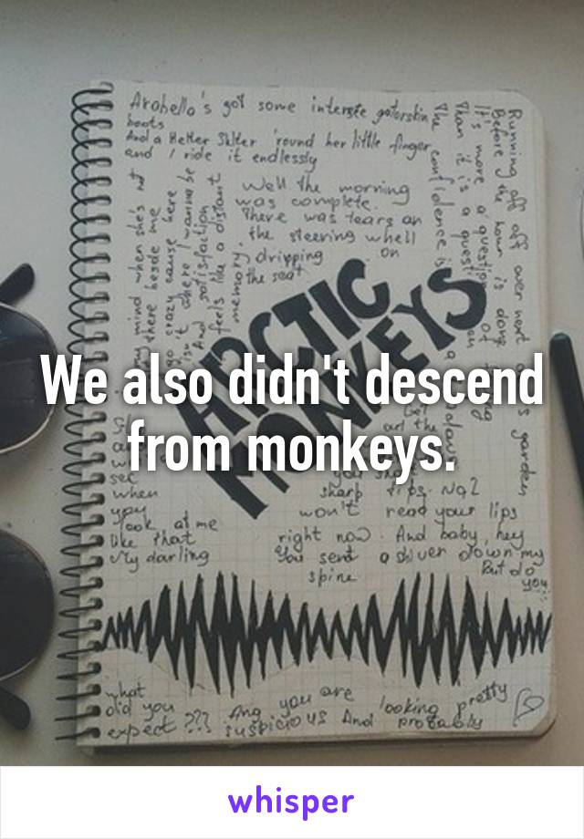 We also didn't descend from monkeys.