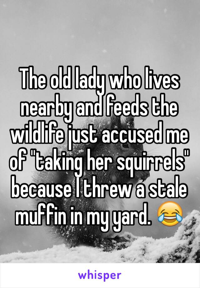 The old lady who lives nearby and feeds the wildlife just accused me of "taking her squirrels" because I threw a stale muffin in my yard. 😂
