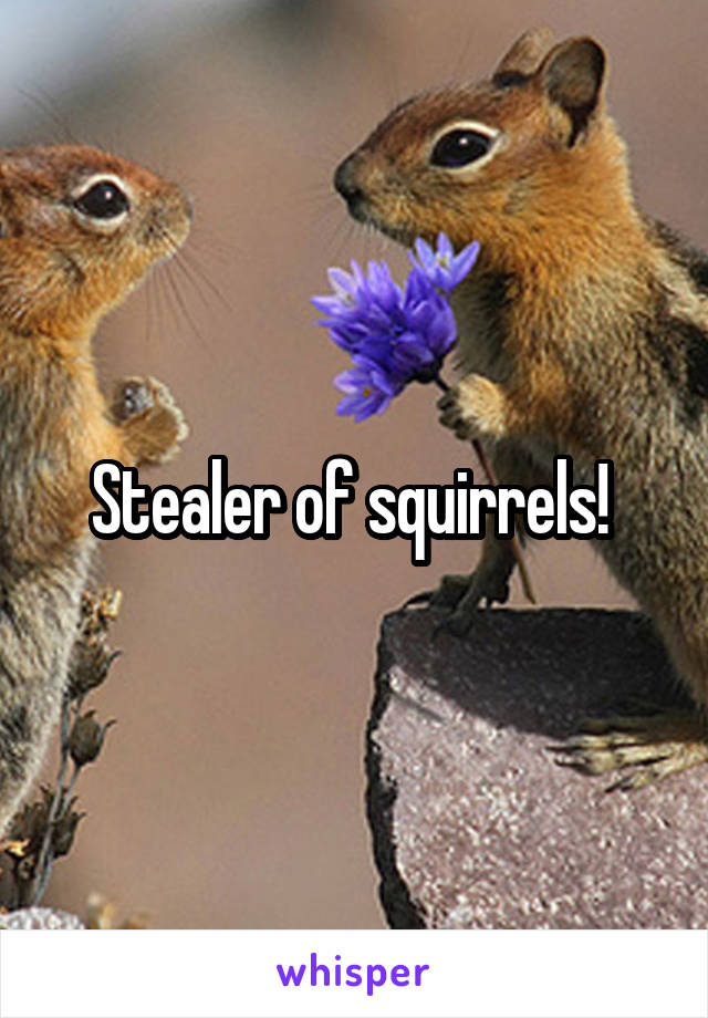 Stealer of squirrels! 