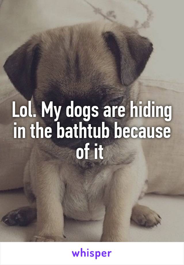 Lol. My dogs are hiding in the bathtub because of it 