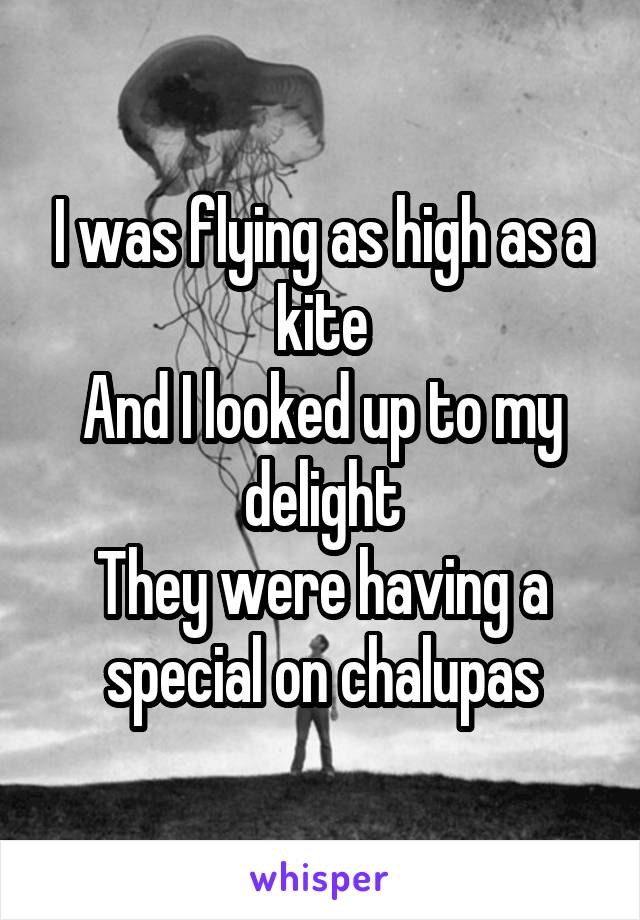 I was flying as high as a kite
And I looked up to my delight
They were having a special on chalupas
