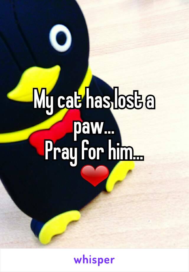 My cat has lost a paw...
Pray for him...
❤