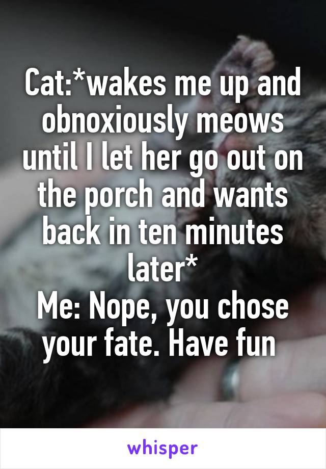 Cat:*wakes me up and obnoxiously meows until I let her go out on the porch and wants back in ten minutes later*
Me: Nope, you chose your fate. Have fun 
