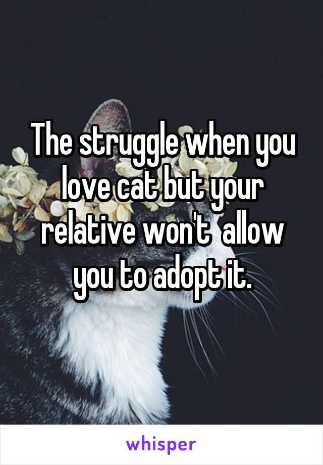 The struggle when you love cat but your relative won't  allow you to adopt it.
