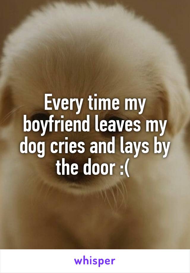 Every time my boyfriend leaves my dog cries and lays by the door :( 
