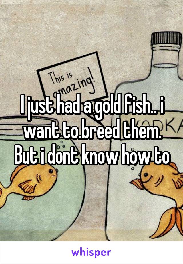 I just had a gold fish.. i want to.breed them. But i dont know how to