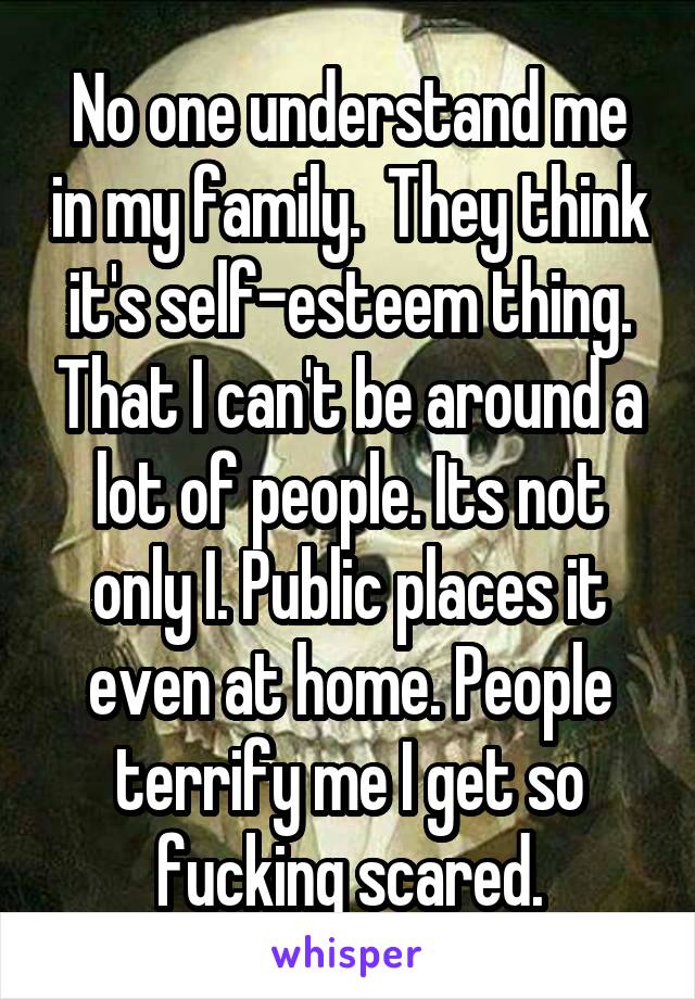 No one understand me in my family.  They think it's self-esteem thing. That I can't be around a lot of people. Its not only I. Public places it even at home. People terrify me I get so fucking scared.