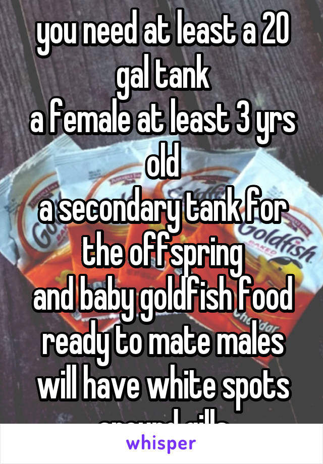 you need at least a 20 gal tank
a female at least 3 yrs old
a secondary tank for the offspring
and baby goldfish food
ready to mate males will have white spots around gills