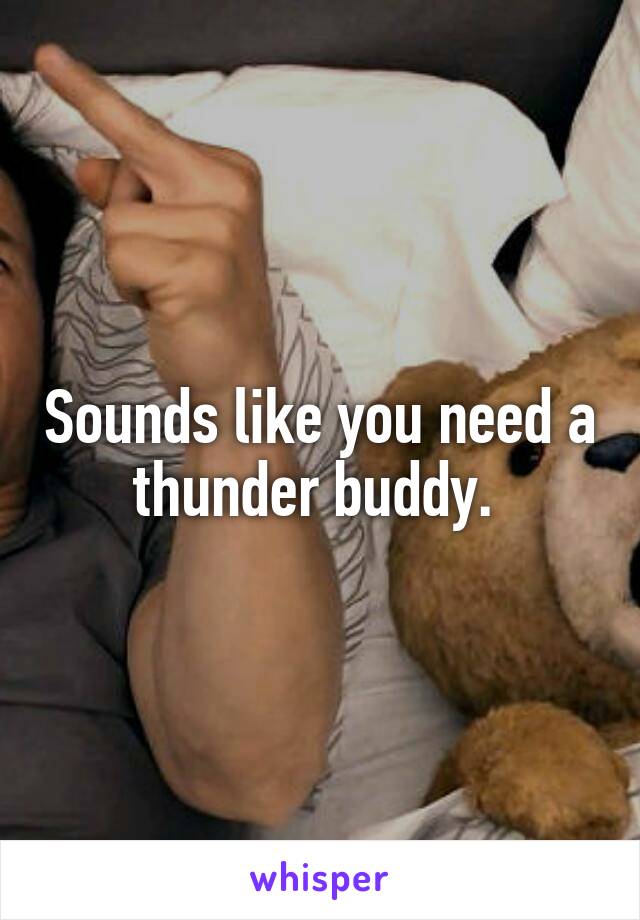 Sounds like you need a thunder buddy. 