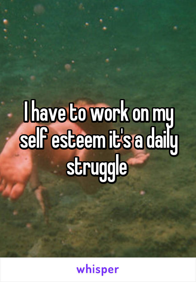 I have to work on my self esteem it's a daily struggle 