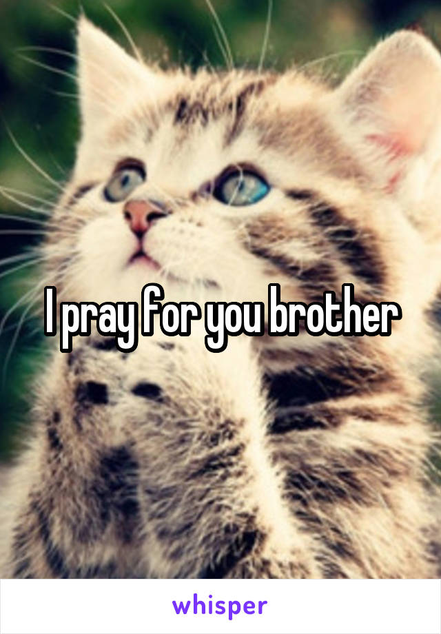 I pray for you brother