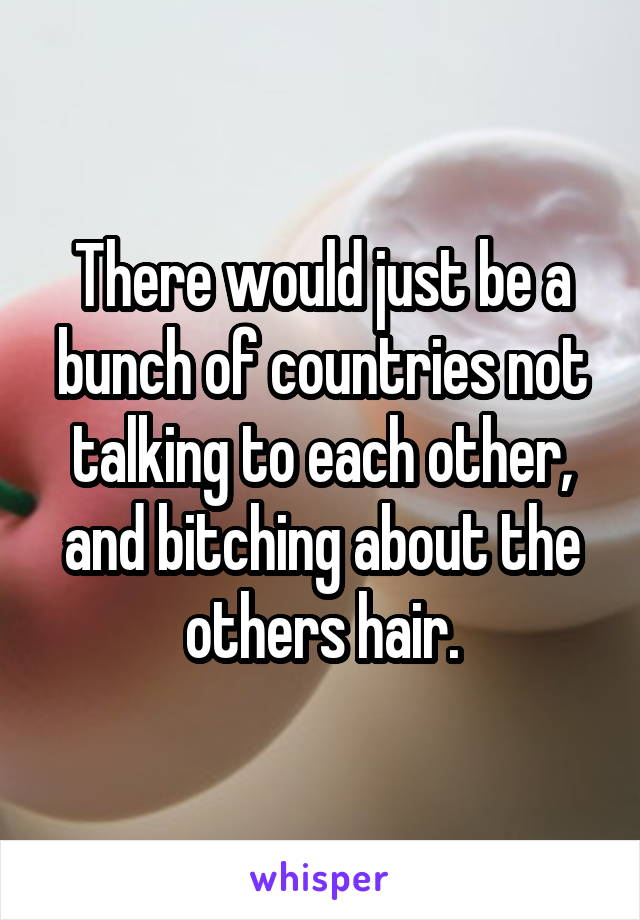 There would just be a bunch of countries not talking to each other, and bitching about the others hair.