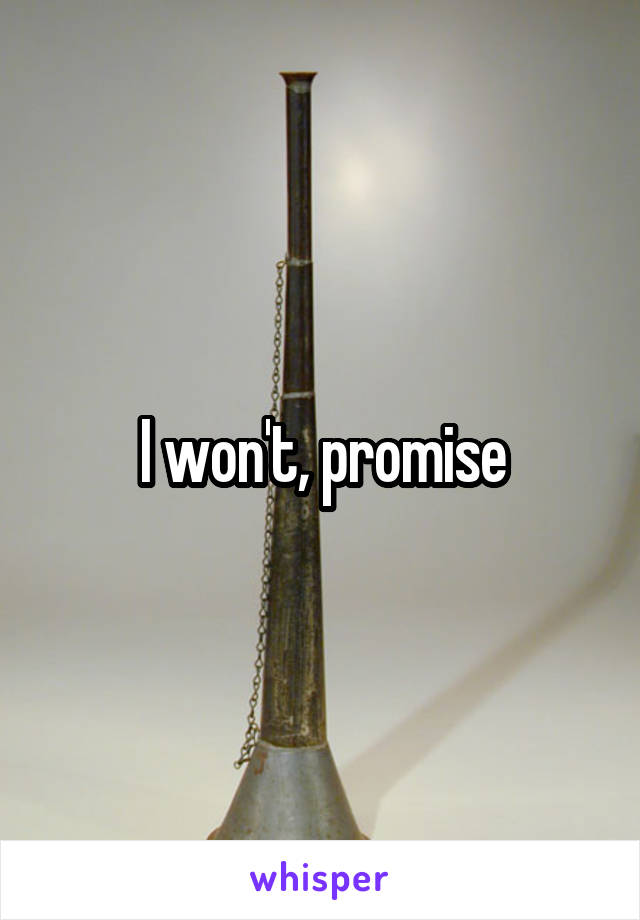 I won't, promise