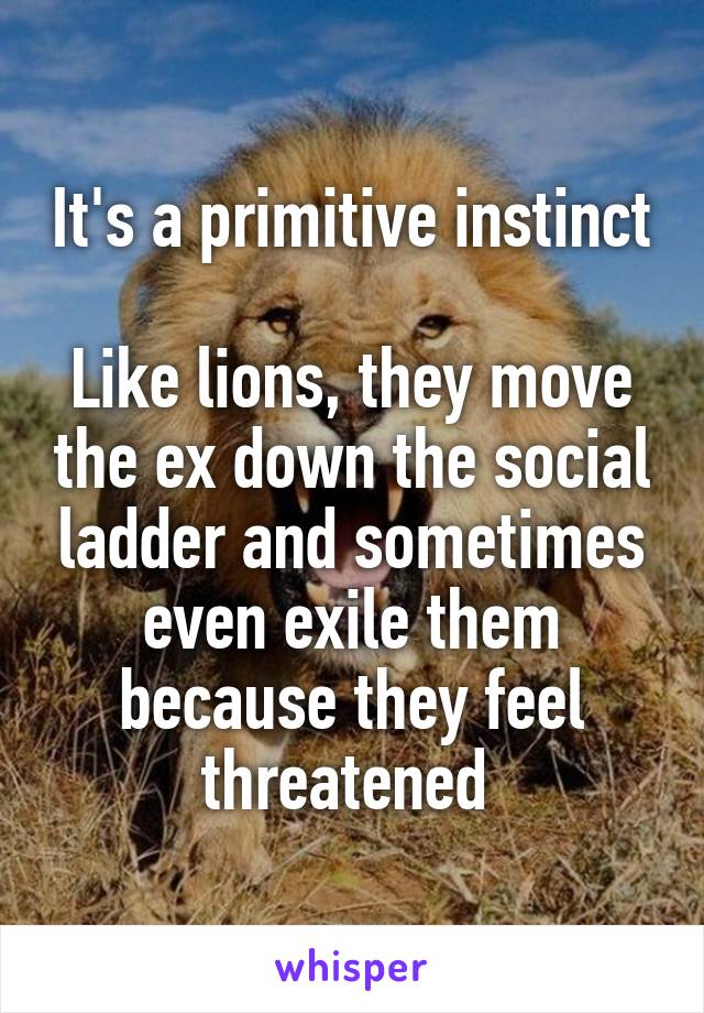 It's a primitive instinct

Like lions, they move the ex down the social ladder and sometimes even exile them because they feel threatened 