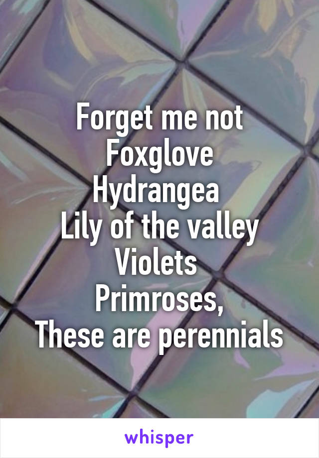 Forget me not
Foxglove
Hydrangea 
Lily of the valley
Violets 
Primroses,
These are perennials