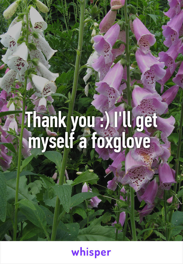 Thank you :) I'll get myself a foxglove 