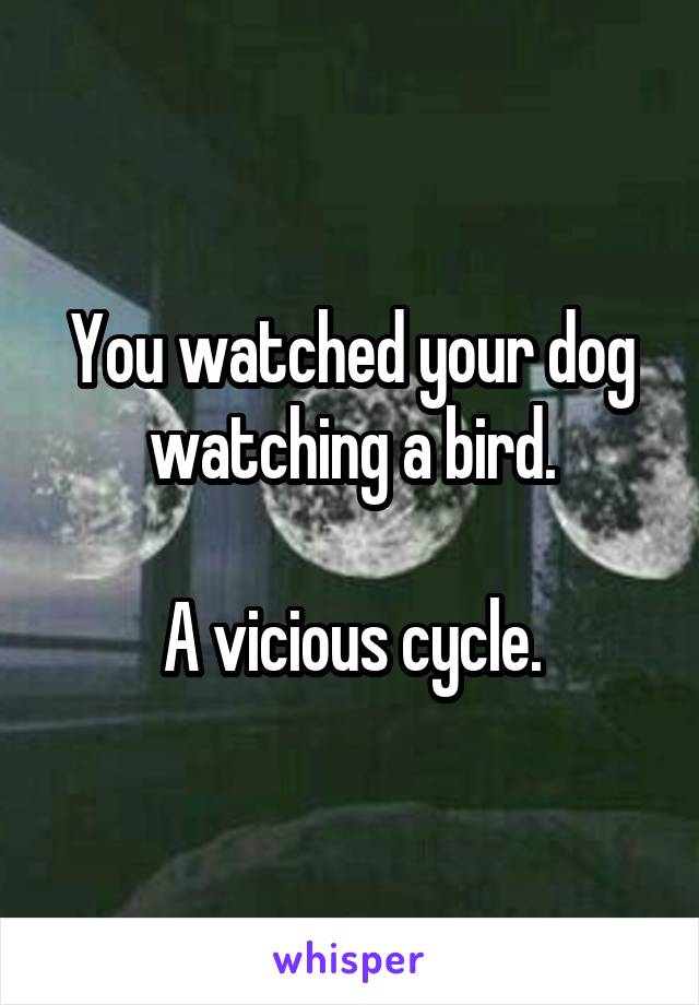 You watched your dog watching a bird.

A vicious cycle.