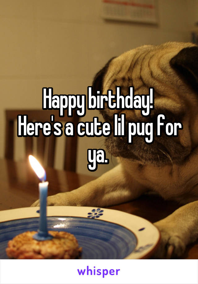 Happy birthday! 
Here's a cute lil pug for ya. 
