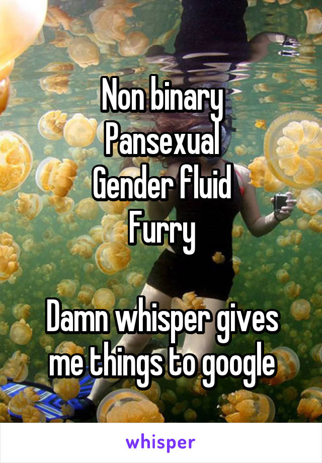 Non binary
Pansexual
Gender fluid
Furry

Damn whisper gives me things to google