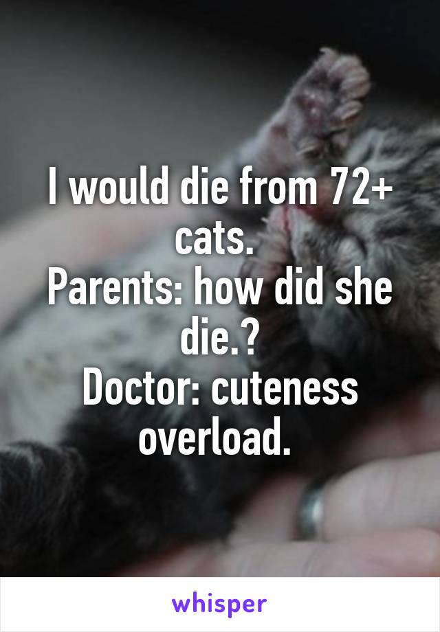 I would die from 72+ cats. 
Parents: how did she die.?
Doctor: cuteness overload. 
