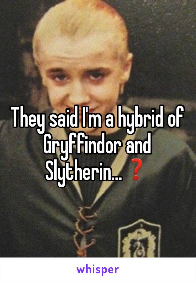 They said I'm a hybrid of Gryffindor and Slytherin...❓