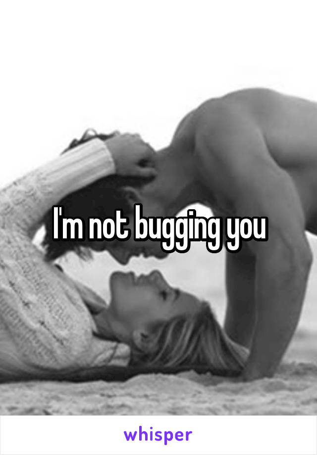 I'm not bugging you