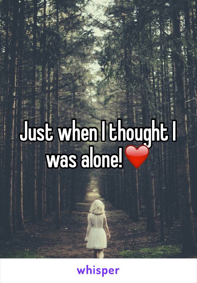 Just when I thought I was alone!❤️