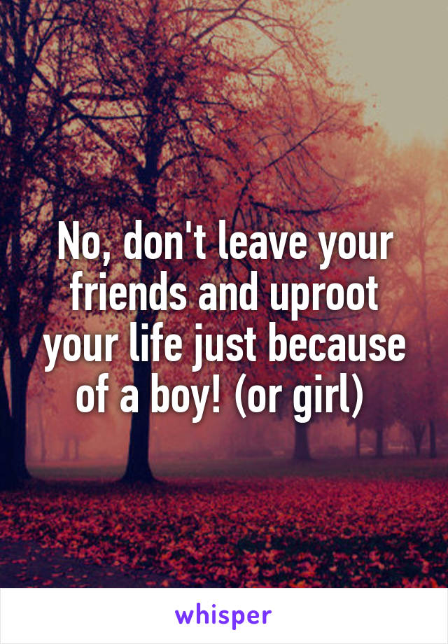 No, don't leave your friends and uproot your life just because of a boy! (or girl) 
