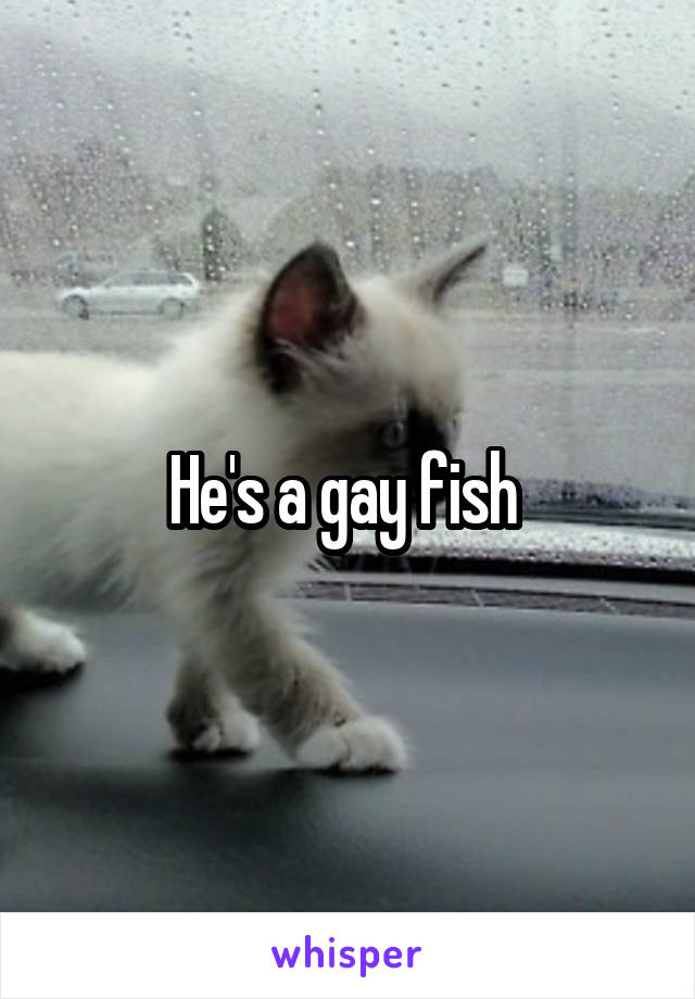 He's a gay fish 