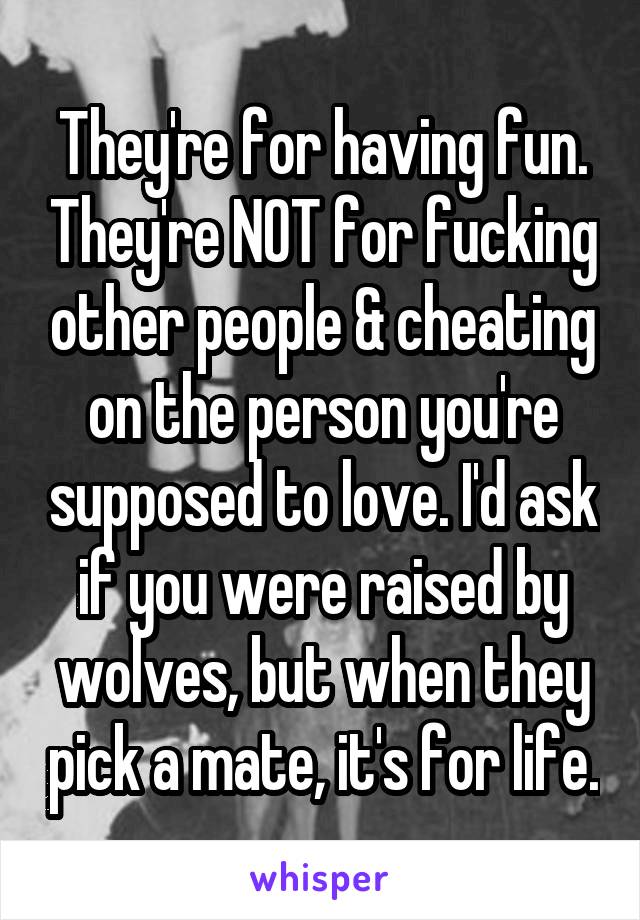 They're for having fun. They're NOT for fucking other people & cheating on the person you're supposed to love. I'd ask if you were raised by wolves, but when they pick a mate, it's for life.