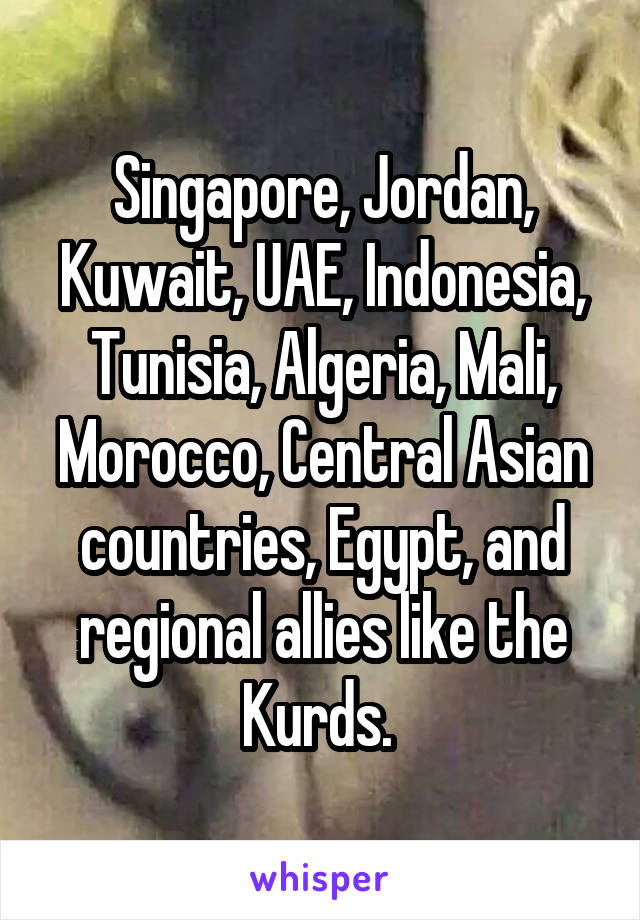 Singapore, Jordan, Kuwait, UAE, Indonesia, Tunisia, Algeria, Mali, Morocco, Central Asian countries, Egypt, and regional allies like the Kurds. 
