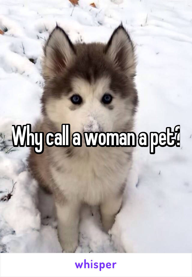 Why call a woman a pet?