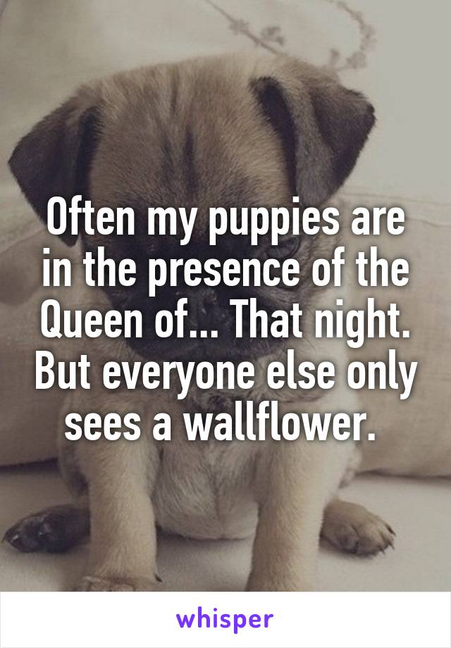 Often my puppies are in the presence of the Queen of... That night. But everyone else only sees a wallflower. 