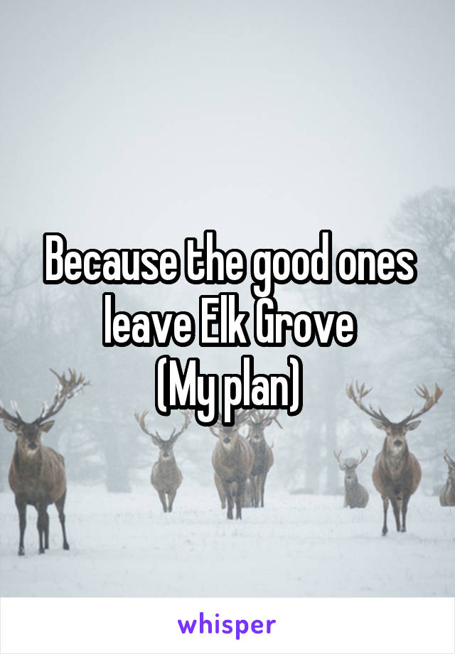 Because the good ones leave Elk Grove
(My plan)