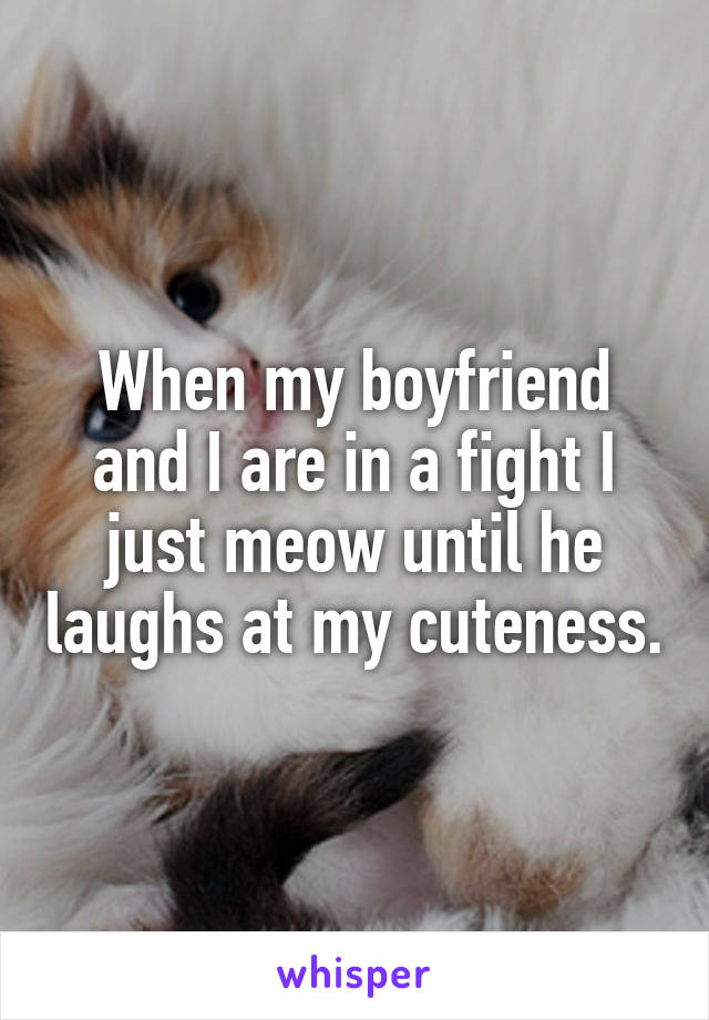 When my boyfriend and I are in a fight I just meow until he laughs at my cuteness.