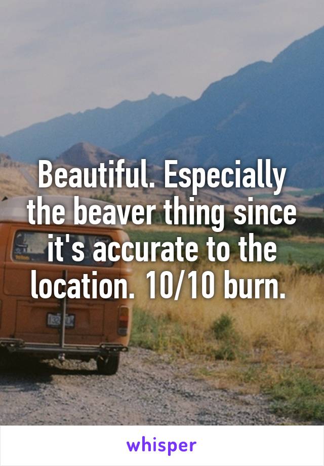 Beautiful. Especially the beaver thing since it's accurate to the location. 10/10 burn. 