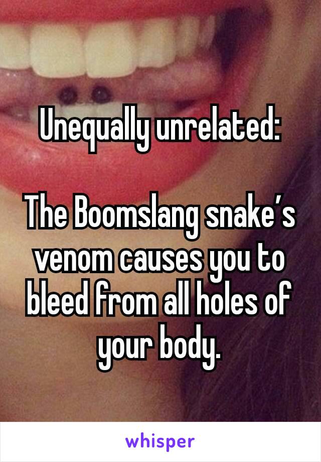 Unequally unrelated:

The Boomslang snake’s venom causes you to bleed from all holes of your body.